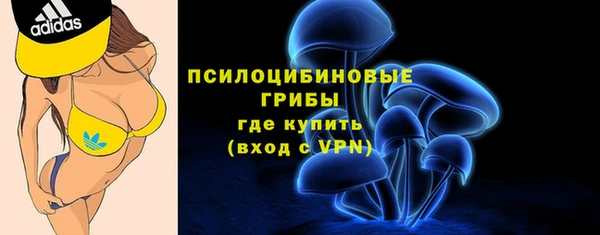 мяу мяу мука Приозерск