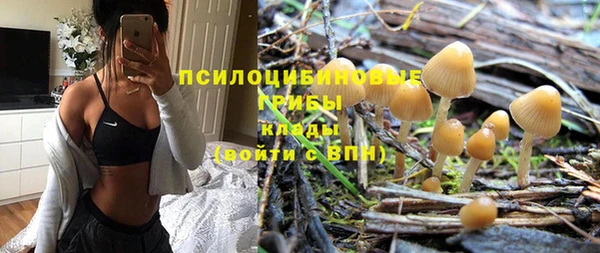 мяу мяу мука Приозерск
