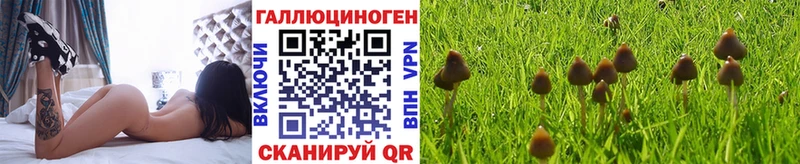 Купить закладки  Северодвинск  Псилоцибиновые грибы Magic Shrooms 